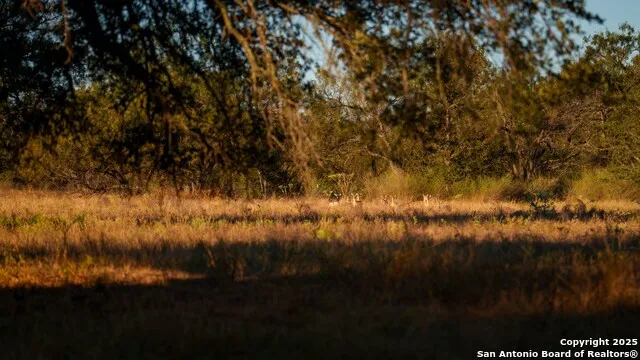 7702 ranch road 965 Llano, TX 78643